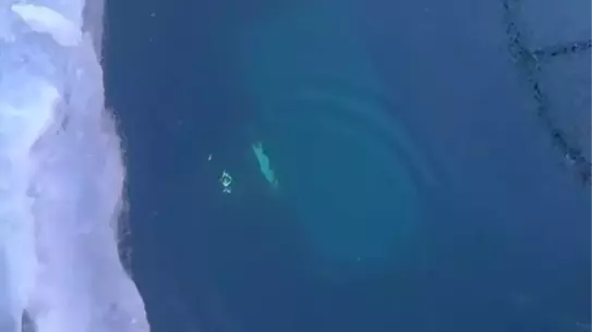 Baykal Gölü'nde Buz Altında Kalan Turist Aracı: 8 Kişi Hayatı Bıraktı