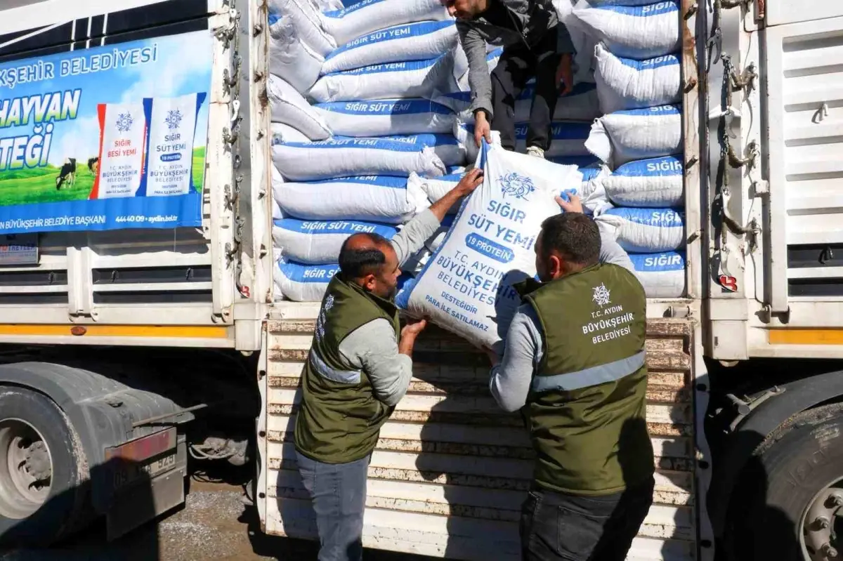 Aydın Büyükşehir Belediyesi'nden Küçükbaş Hayvan Sahiplerine Devam Eden Yem Hibesi