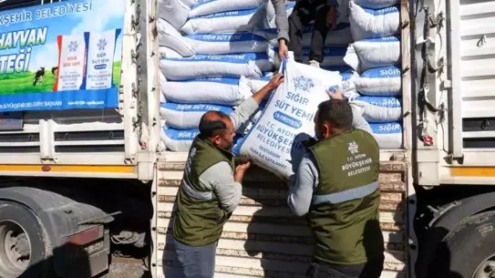 Bozdoğan’da yem desteği alan üreticiler