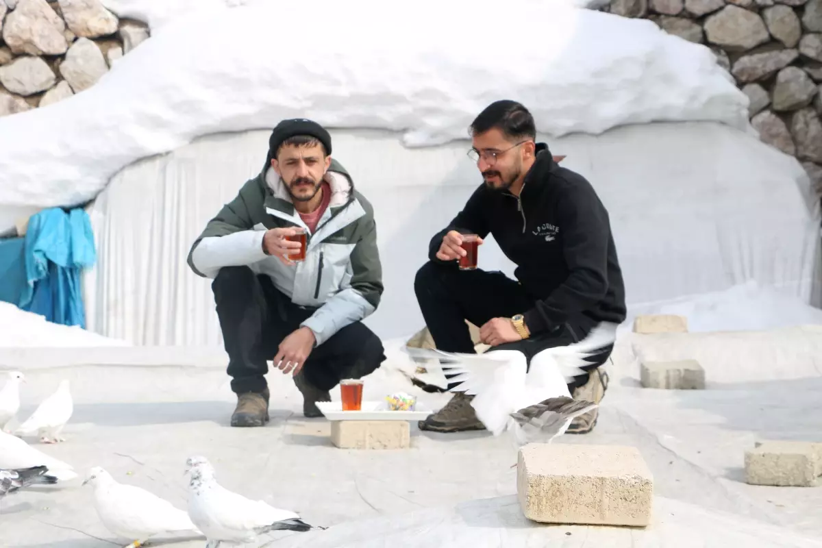 Yüksekova’da 20 Yıllık Güvercin Aşkı: Murat Çağatay’ın Sıra Dışı Hikayesi