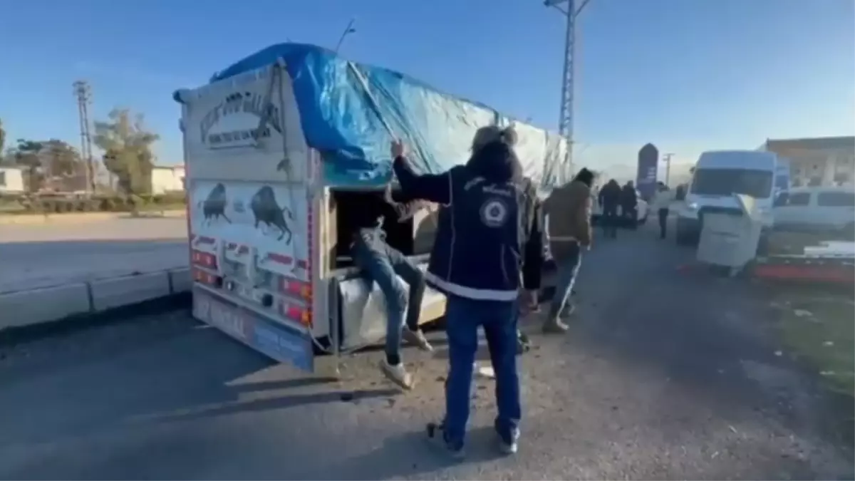 İskenderun’da Hayvan Dışkısıyla Kamufle Edilen Kamyonette 19 Kaçak Göçmen Yakalandı