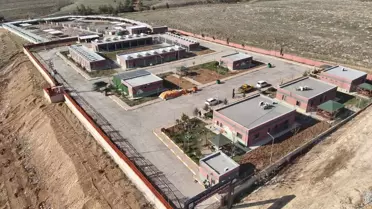 Şanlıurfa’da 27.960 Sahipsiz Hayvan Toplandı, 3.374’i Kısırlaştırıldı