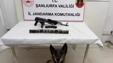 Suruç’ta Silah Kaçakçılığı Operasyonu: 1 Şüpheli Gözaltında