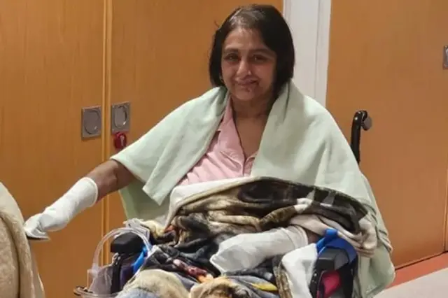 Veteriner kontrolü sırasında köpek