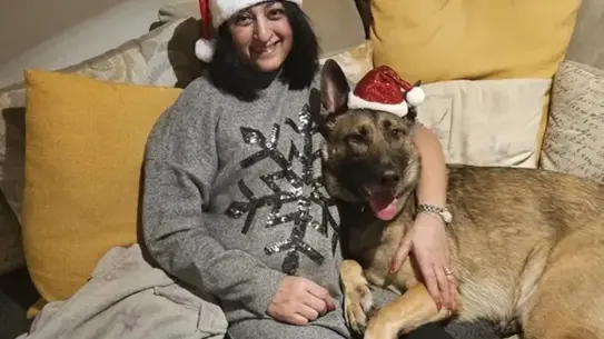 İngiltere'de Kadının Hayatı Köpeğin Yaladığı Kesikten Sonra Korkunç Bir Döneme Girdi