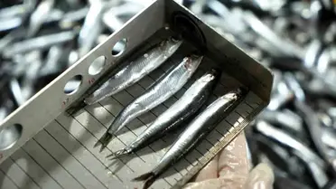 Denetim sırasında çekilmiş fotoğraf