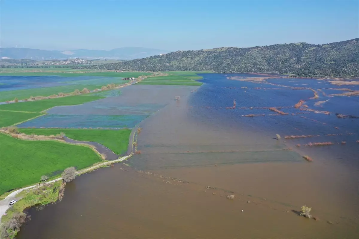 Söke’de Şiddetli Taşkın Tarım Arazilerini Sular Altına Çekti