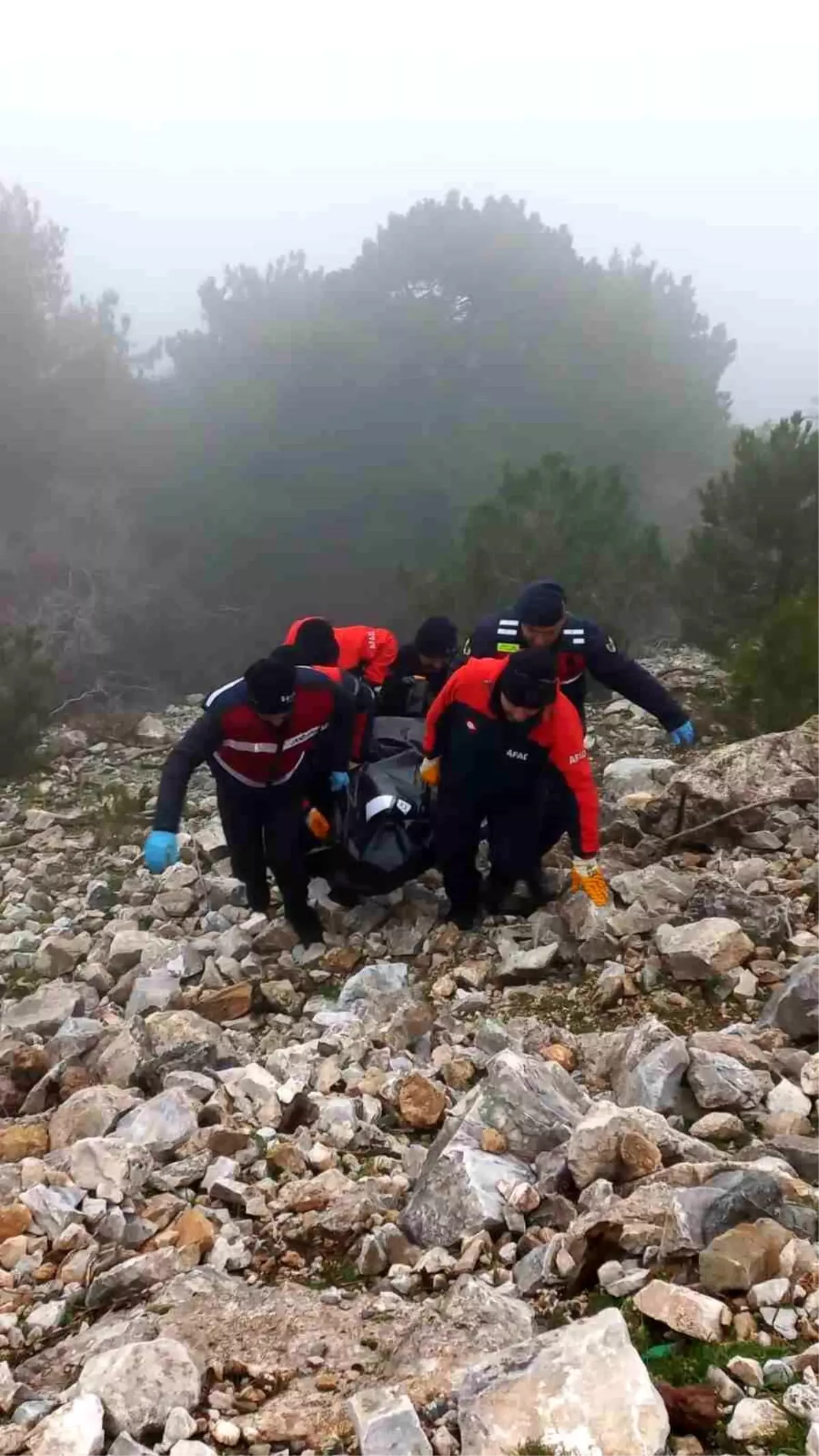 Kuşadası'nda Uçurum Kazası: Mehmet Çiftçi Hayatını Kaybetti