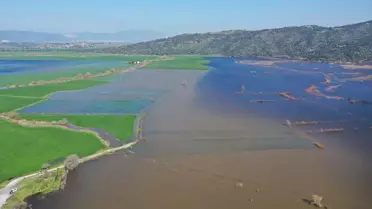 Söke’de taşkın sonrası su altında kalan tarlalar