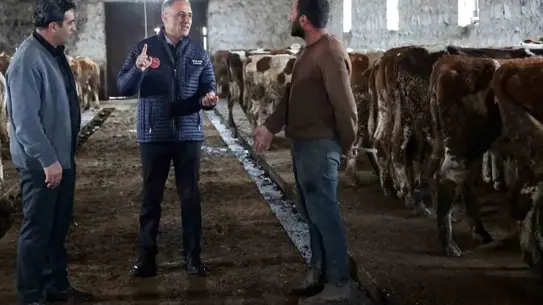 Kars Bayrak Köyü'nde Hayvancılık Sektörüne Destek: Tarım Müdürü Aydın'ın Ziyareti