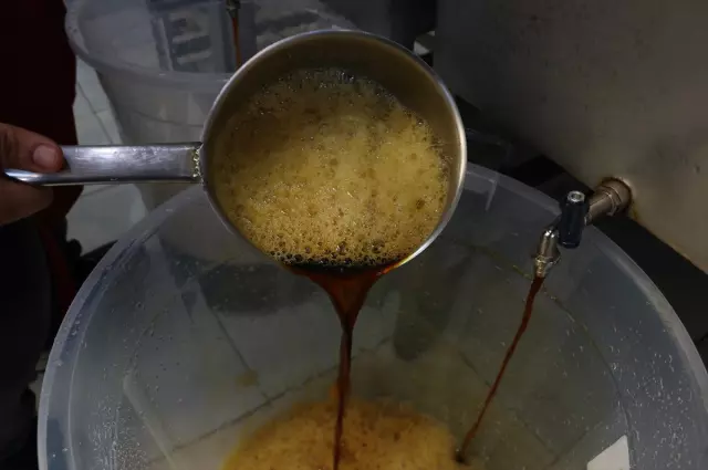 Meyanın hasat edildiği Fırat Nehri kıyısı