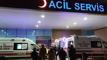 Kuduz aşısı uygulama anı