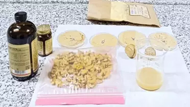 Vegan Sporcular İçin Ceviz Tabanlı Protein Tozu: Yeni Nesil Beslenme Çözümü