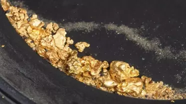 Surinam’da Dünya Çapında Yeterli Olacak Dev Altın Rezervi Keşfedildi