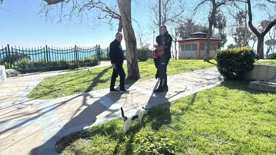 Kurtarma ekibiyle birlikte kedi