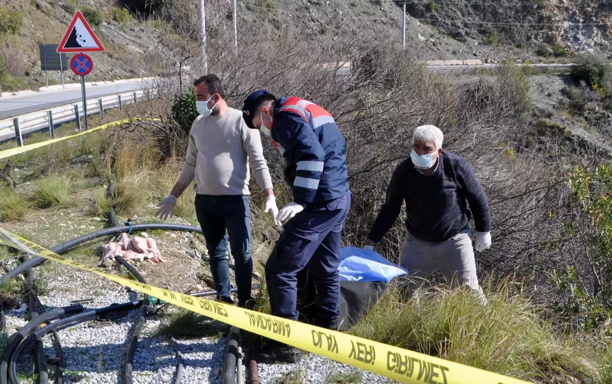 Gazipaşa’da Bahçe Sulayan Çiftçileri Şok Eden Vahşi Olay: Şarampolde Kadın Cesedi Bulundu