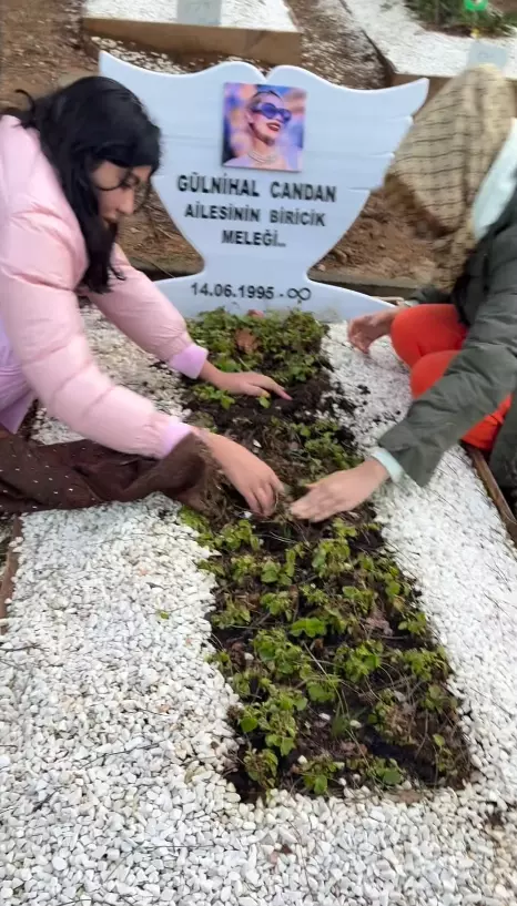 Lazer ışıklarıyla aydınlatılmış köprü