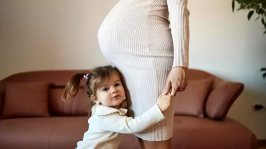 Araştırma sonuçları grafiği