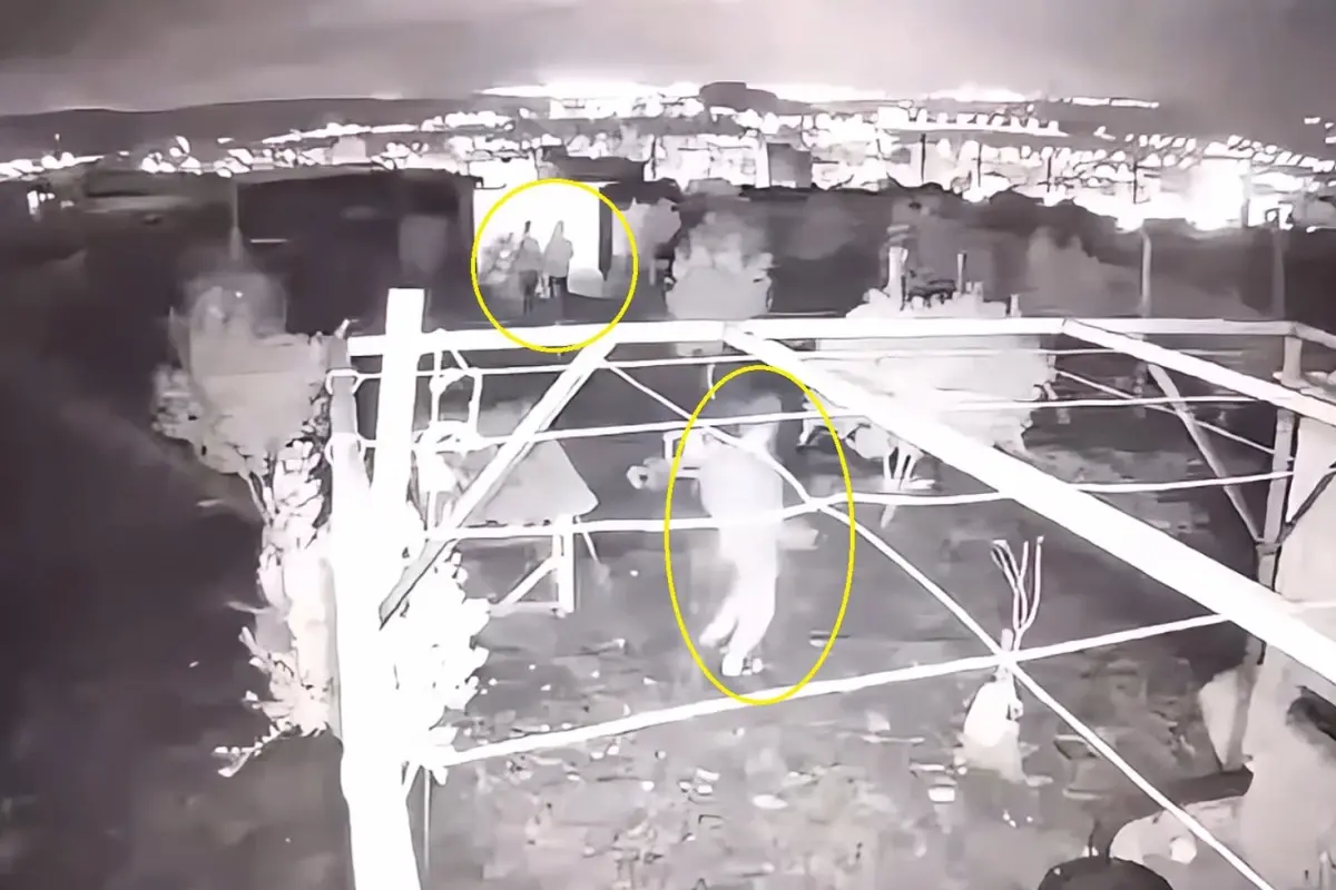 Osmaniye'de 3 Çocuk Hobi Bahçesinden 25 Güvercini Çaldı