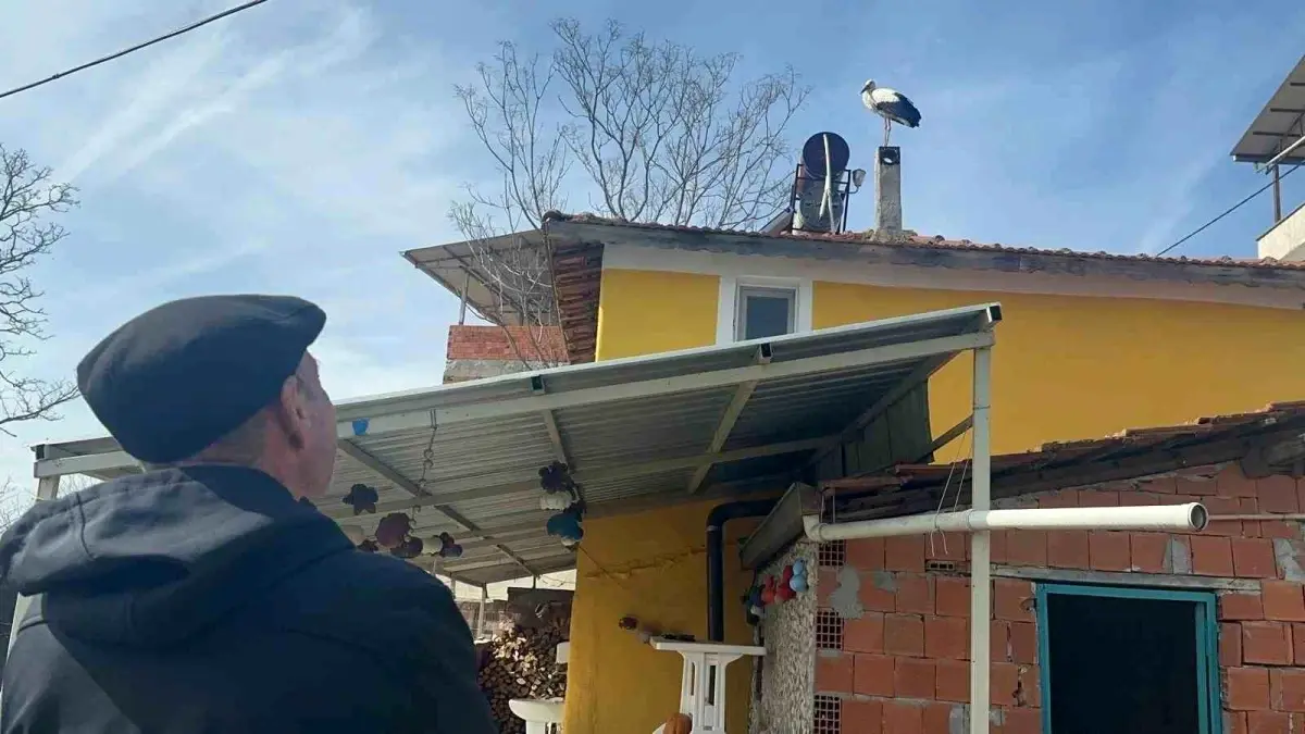 Karacabey'de Leylek Ailesi Mutlu: Yaren'in Eşi Erken Dönüş Yaptı