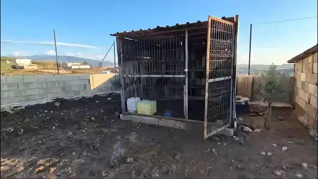 Kamera kaydında çocuklar