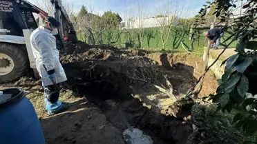 Kazı sırasında ortaya çıkan fosil kalıntılar