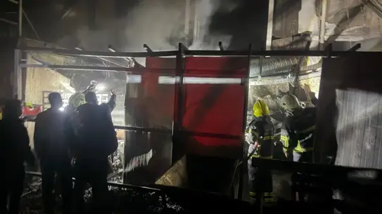 Koçarlı’da Çam Fıstığı Tesisinde Yangın Söndürüldü