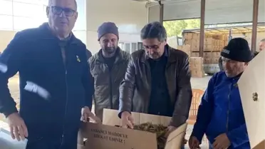 Karacasu’da Tütün Üreticileri Düşük Alım Fiyatlarından Şikayetçi