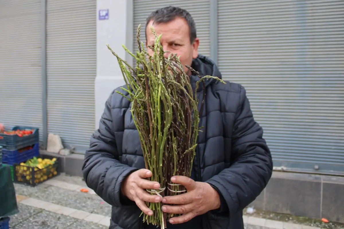 Baharın Şifalı Bitkisi: Aydın’da ‘Acı Ot’ Fiyatları ve Sağlık Faydaları