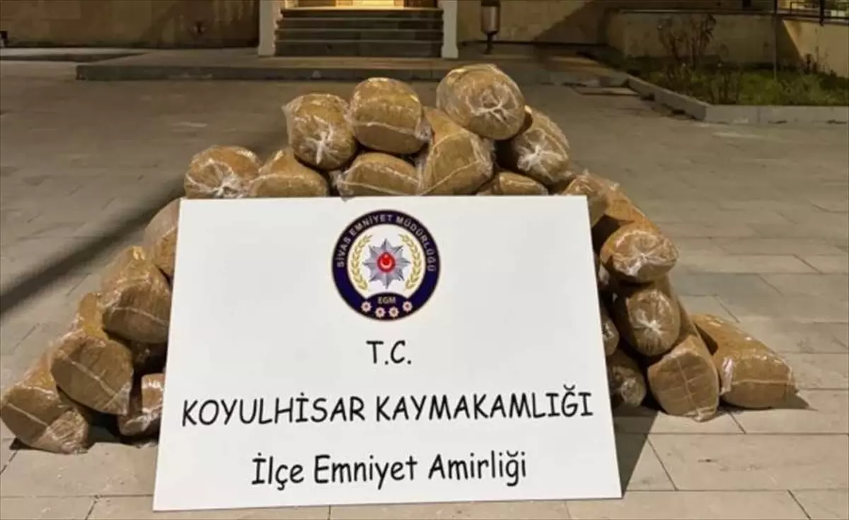 Koyulhisar’da 200 Kilogram Kaçak Tütün Operasyonu Sonuçlandı
