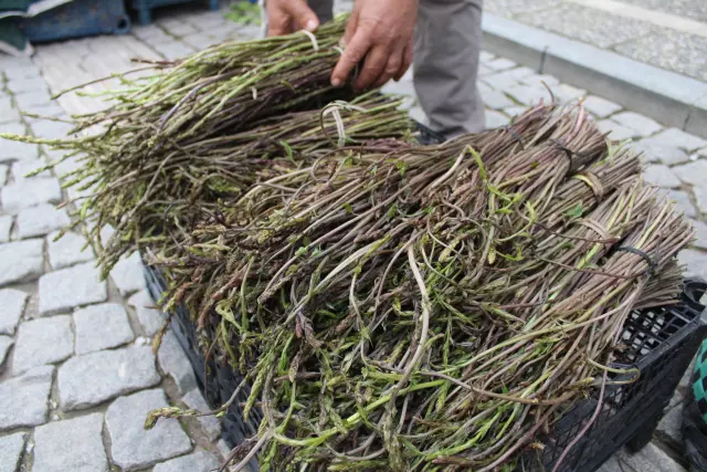 Acı ot toplama anı