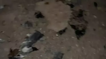 Balıkesir 9'uncu Ana Jet Üssü'nde F-16 Kaza Kırıma Uğradı, Pilot Şehit Oldu