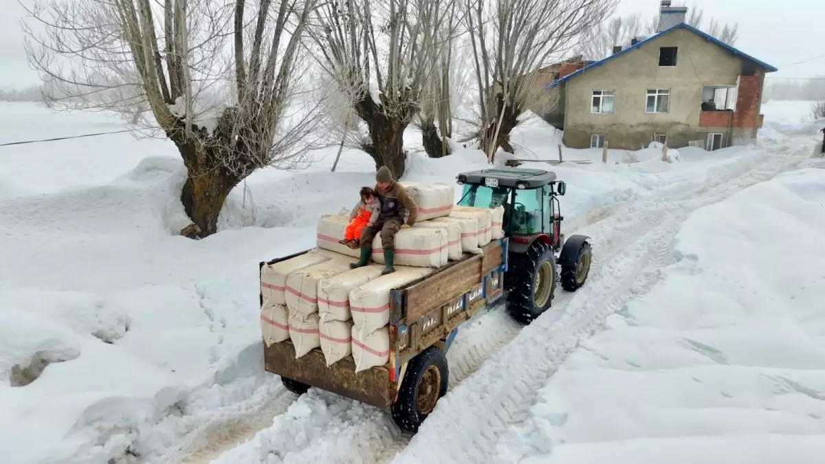 Doğayla Büyüyen Çocuk: Tunceli Köyünde Güneş'in Hikayesi