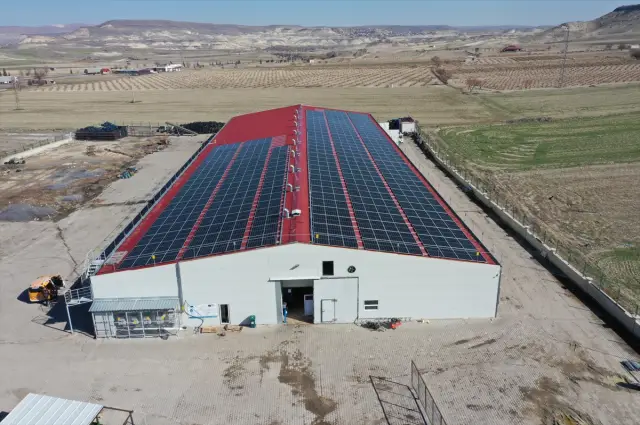 Mantar toplama işlemi