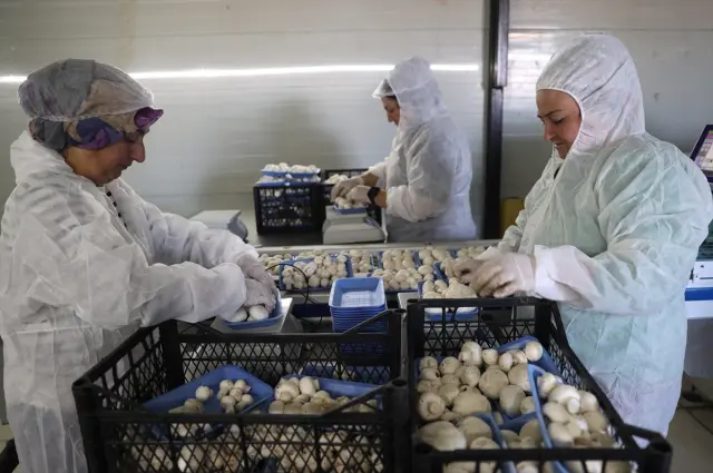 Tesiste çalışan ekip