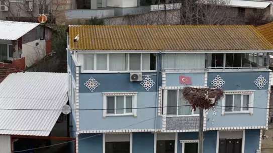 Nazlı’nın Sürpriz Ziyareti: Yaren’in Eşi 20 Gün Önceden Eskikaraağaç Köyüne Geldi