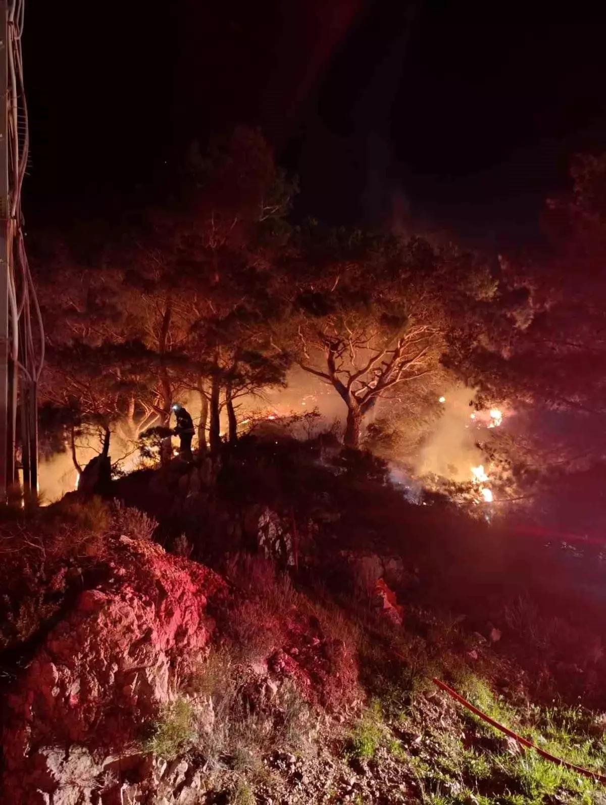 Bodrum’da Rüzgarla Büyüyen Orman Yangını Kontrol Altına Alındı