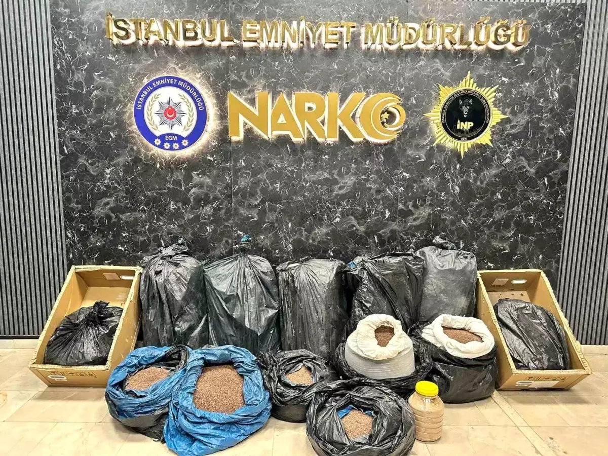 İstanbul’da 374 Kilogram Uyuşturucu Ele Geçirildi: 3 Ev ve Depo Tarama Operasyonu