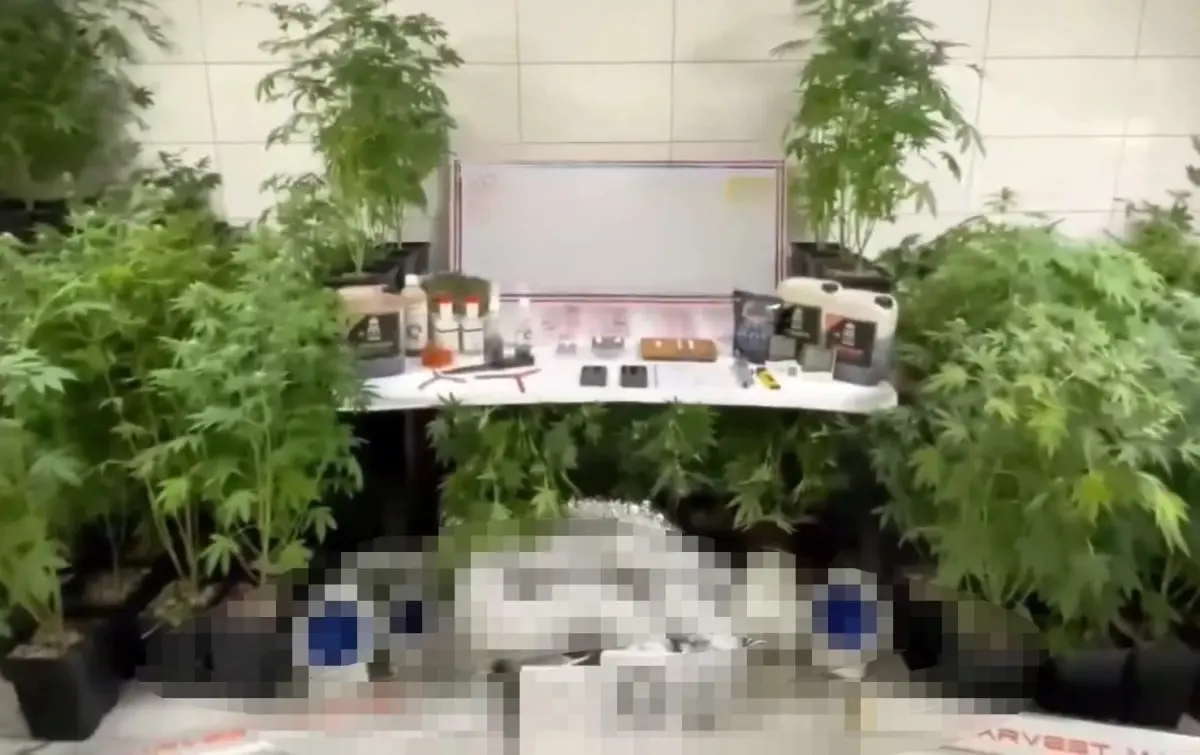 Bursa'nın İnegöl İlçesinde Jandarma Uyuşturucu Üretim Tesisini Çökertti