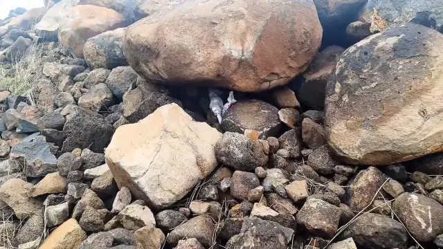 Ele geçirilen silahlar