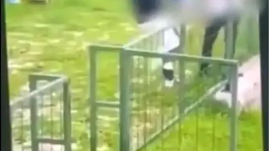 Bodrum’da Çocuklar Arasında Şiddet Olayı: Gözaltına Alınan İki Şüpheli