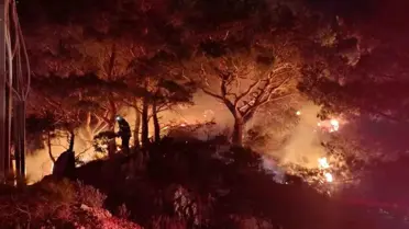 Yangın sonrası Bodrum ormanlık alanda kalan zarar