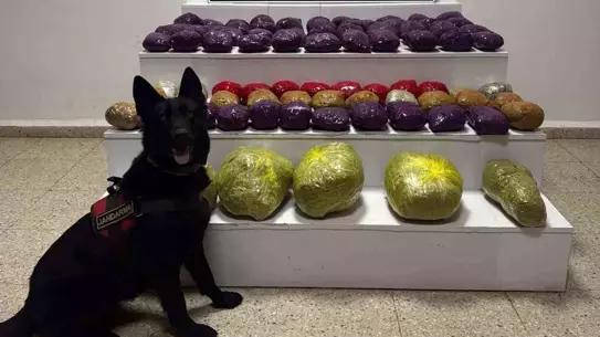 Ele geçirilen 31,5 kg uyuşturucu