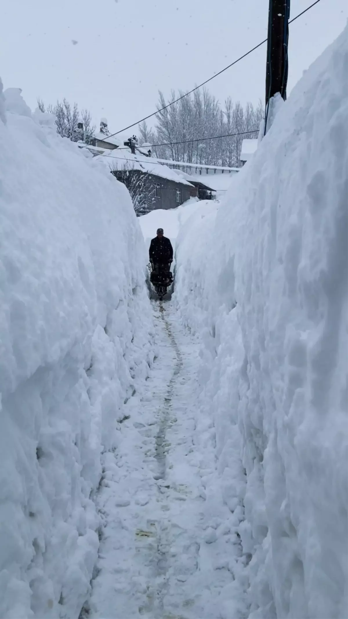 Tunceli'nin Koyungölü Köyü'nde Kar Kalınlığı İnsan Boyunu Aştı