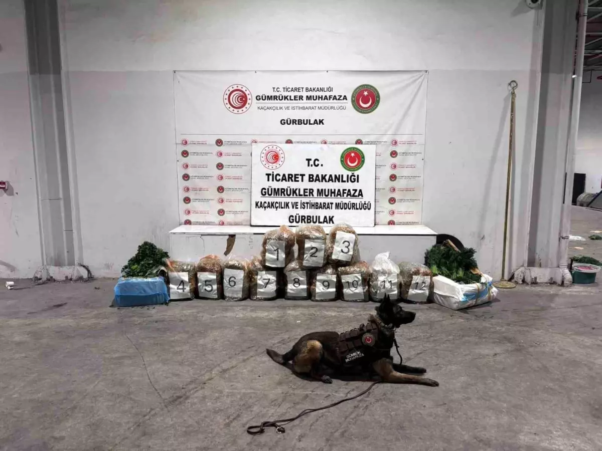 Gürbulak Sınır Kapısı'nda 51,5 Kg Esrar Ele Geçirildi
