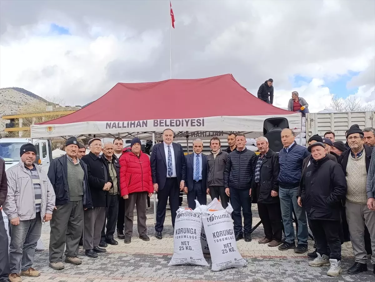 Nallıhan Belediyesi, Çiftçilere %50 Hibeli Korunga Tohumu Dağıttı