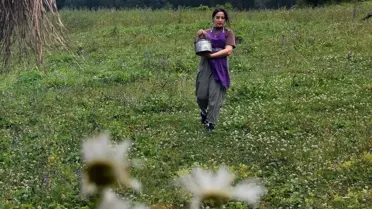 Hamsiköy Sütlacının Sırrı: Trabzon’un Coğrafi İşaretli Lezzeti