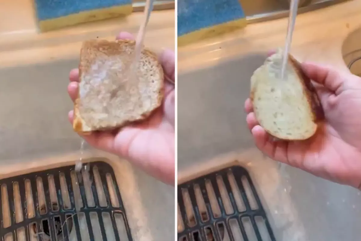 Market Ekmeği Su Testinde Plastik Gibi Davranıyor: Şaşırtıcı Sonuçlar