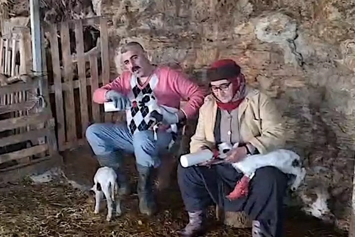 Pamukkale'da kardeşlerin koyun çiftliği