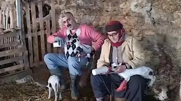 Denizli'de Kardeşlerin 4 Koyundan 600 Koyuna Uzanan Başarısı